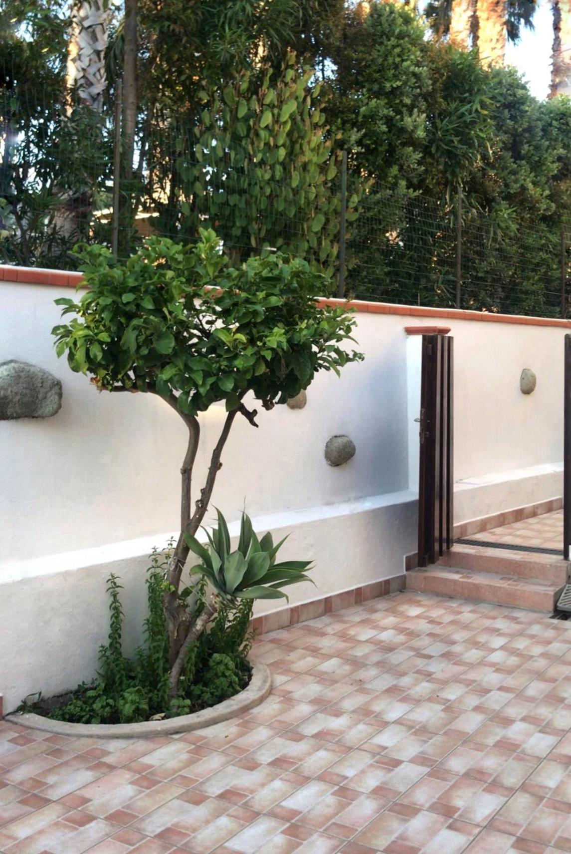 La Turrita Apartments Forio  Exterior photo